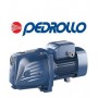 Центробежный насос Pedrollo  JSWm 10MX 0,75 kw (Чугун) Италия